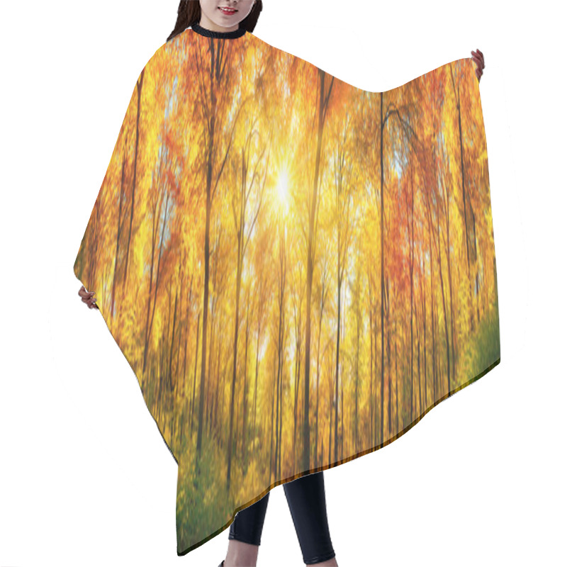 Personality  Forest Panorama In Autumn Hair Cutting Cape