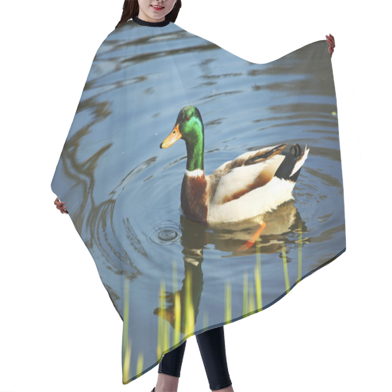 Personality  Duck Hair Cutting Cape