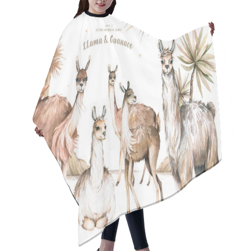 Personality  Cartoon Lama Flat Illustrations. Cute Llamas Alpaca Characters Smiling, Walking, Jumping, Sleeping In Peru Desert Landscape With Cactuses. Mexican Funny Lama Animal Collection Isolated Hair Cutting Cape