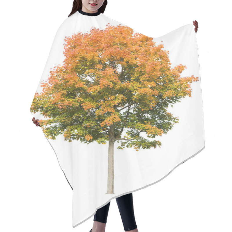 Personality  Nature Flora, Tree Foliage Hair Cutting Cape