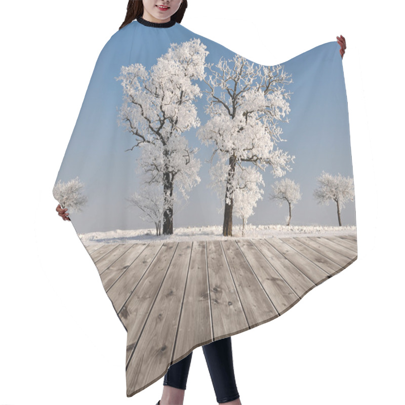 Personality  Beautiful Winter Landscape With Trees Hair Cutting Cape