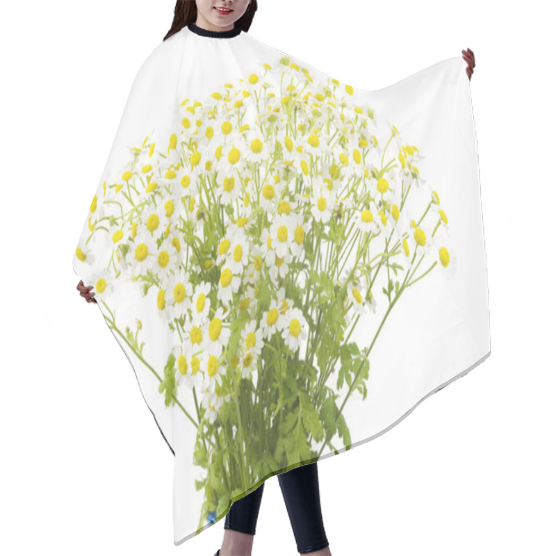 Personality  Chamomile Bouquet,white Background Hair Cutting Cape