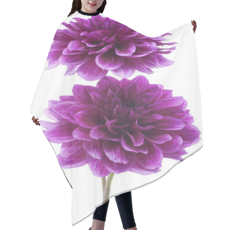 Personality  Dahlia Flowers Hair Cutting Cape