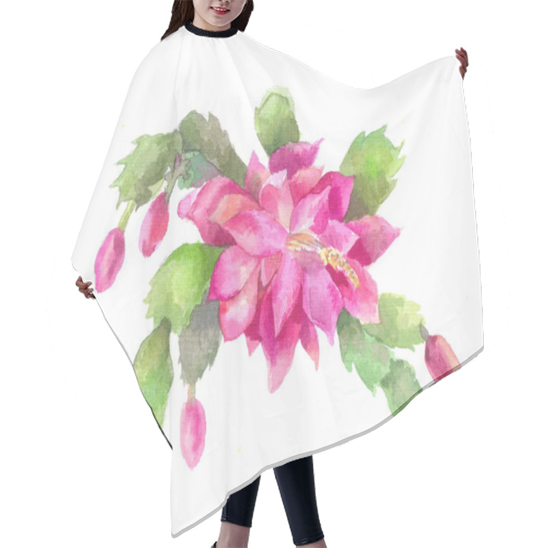 Personality  Schlumbergera, Zygocactus Or Christmas Flower. Pink Cactus, Wate Hair Cutting Cape