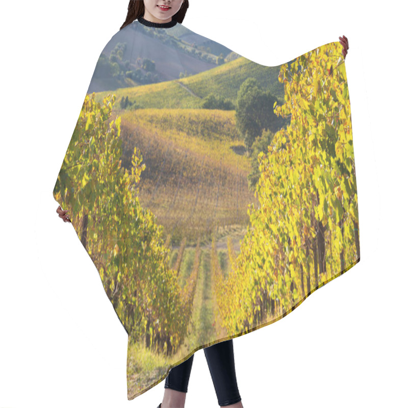 Personality  Vineyards And Winery On Hills, Agriculture And Wine Pruduction Hair Cutting Cape