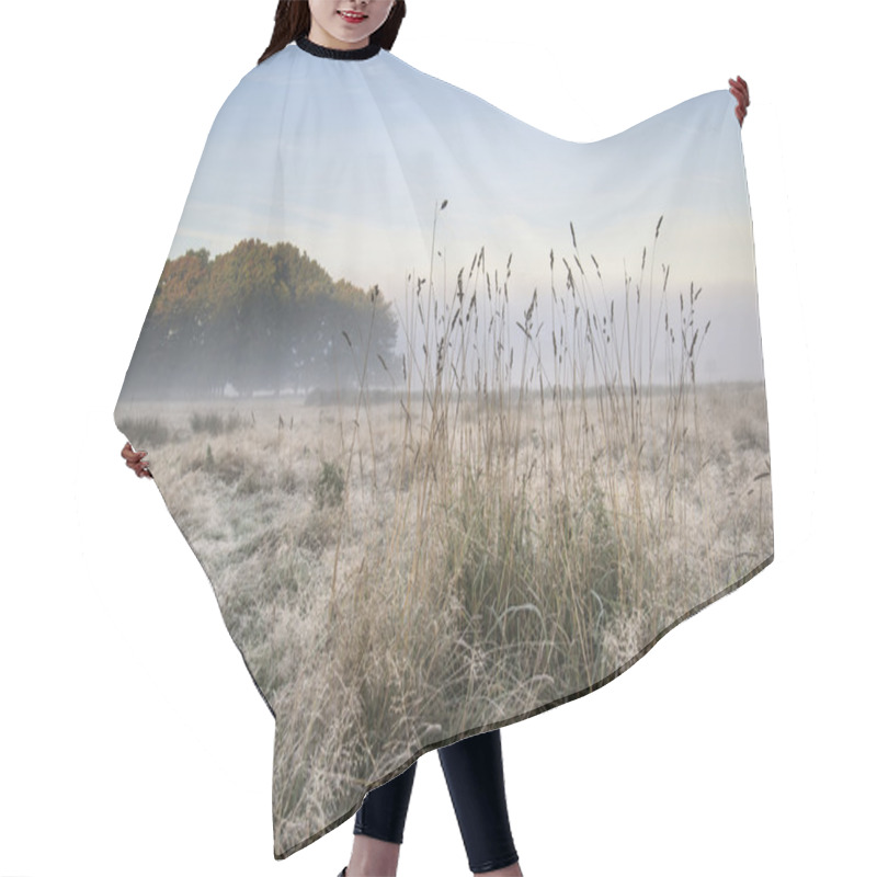 Personality  Beautiful Autumn Fall Foggy Dawn Landscape Over Frost Covered Fi Hair Cutting Cape