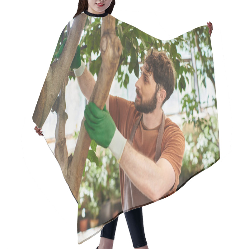 Personality  Good Looking Bearded Gardener In Gloves Examining Tree In Modern Greenhouse, Horticulture, Concept Hair Cutting Cape