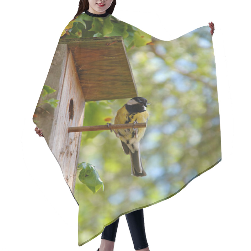 Personality  Bird And House Hair Cutting Cape