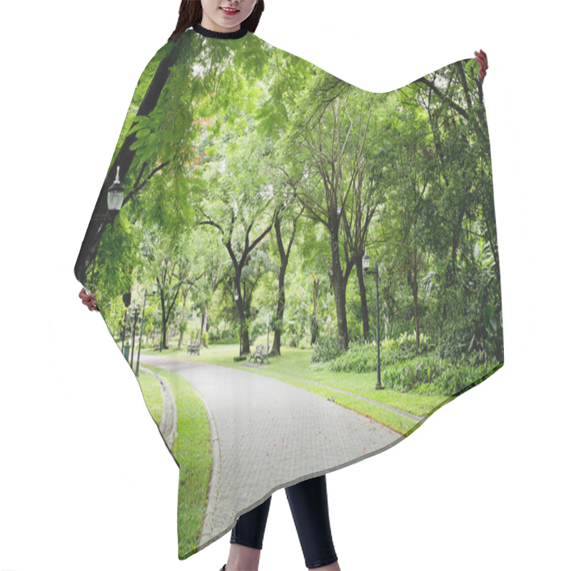 Personality  Stone Pathway in the Green Park hair cutting cape