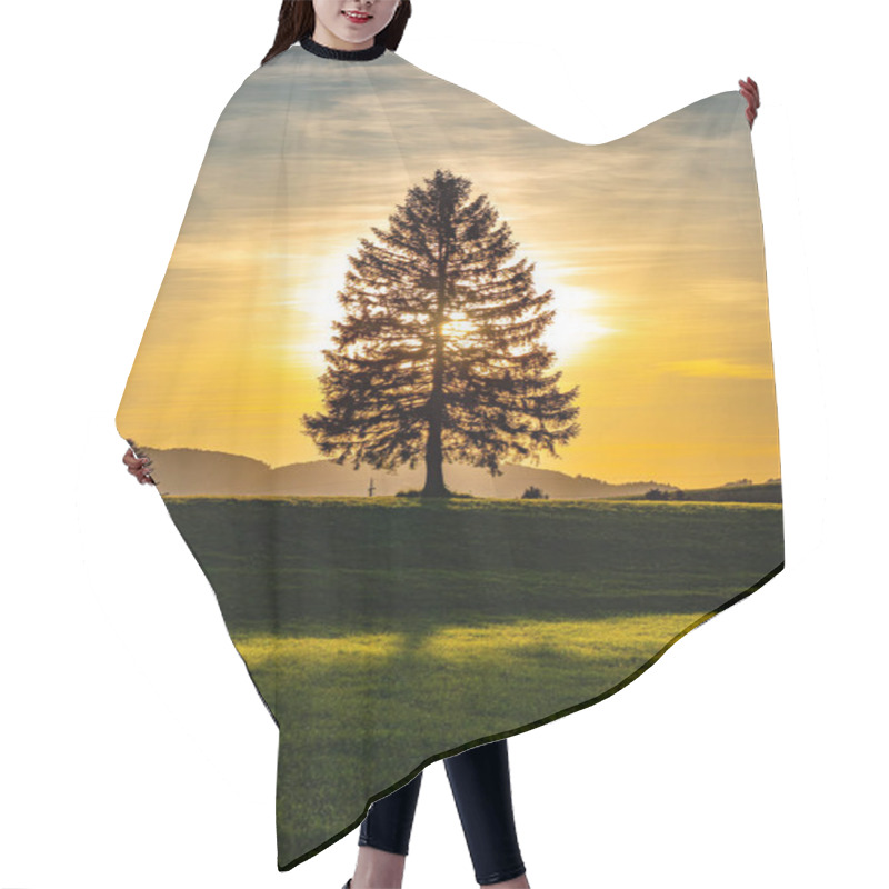 Personality  Wonderful Fir Tree At Sunset. High Quality Photo Hair Cutting Cape