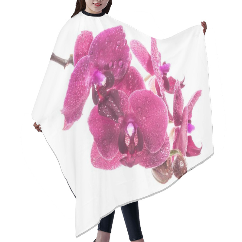 Personality  Orchid Flowers Isolated On White Background Hair Cutting Cape