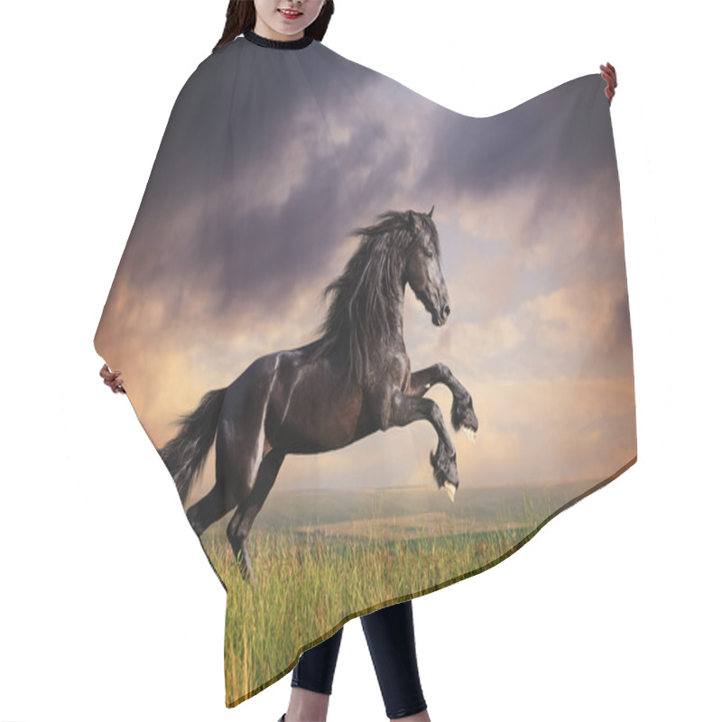 Personality  Black Friesian Horse Gallop Hair Cutting Cape