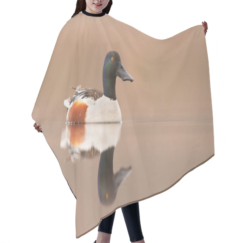 Personality  Northern Shoveler Bird ( Spatula Clypeata ) Hair Cutting Cape