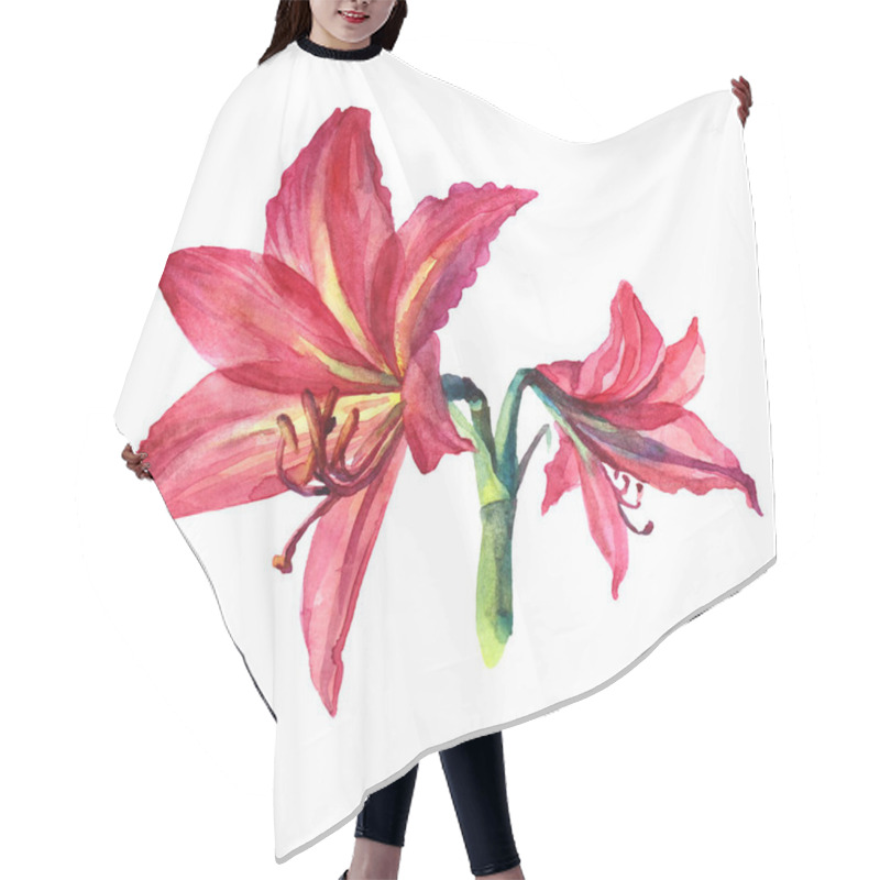 Personality  Watercolor Bouquet Flower Red Lily Isolated On White Background. Hand-drawn Botanical Illustration For Card, Celebration, Wedding, Birthday, Wallpaper, Wrapping, Textile, Gift Hair Cutting Cape