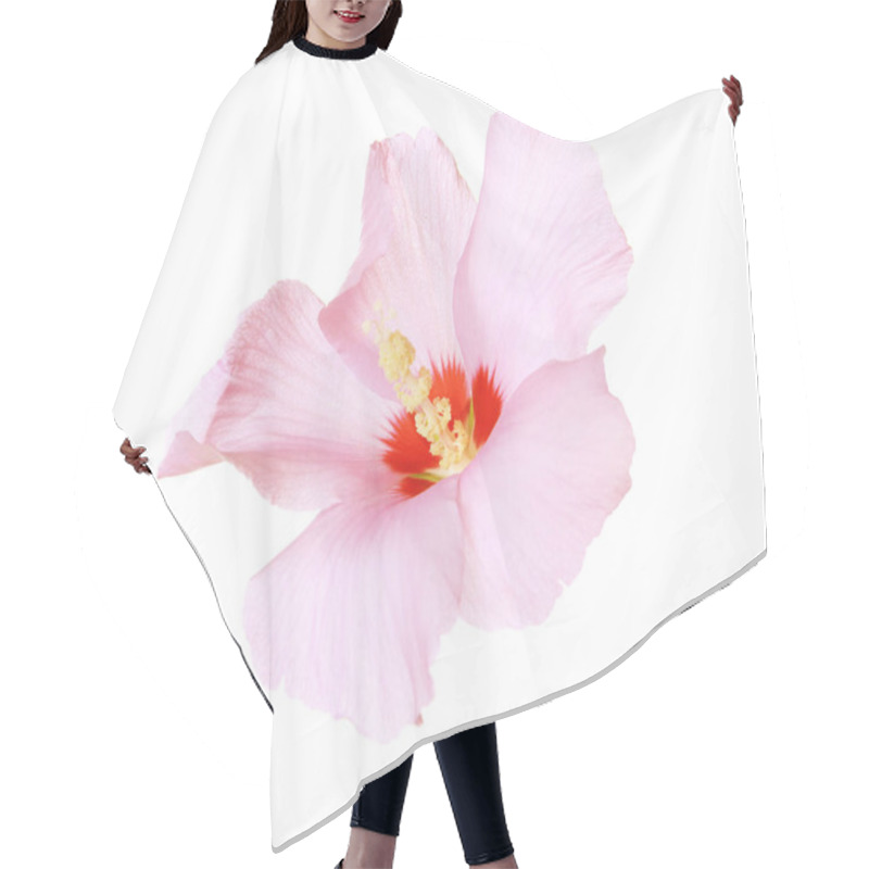 Personality  Beautiful Tropical Pink Hibiscus Flower On White Background Hair Cutting Cape