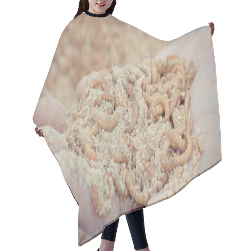 Personality  Mealworm In Hand Hair Cutting Cape