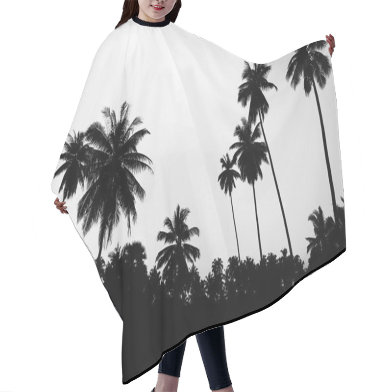 Personality  Silhouette Of Palm Trees By The Sea. Isolated Background - Image Hair Cutting Cape