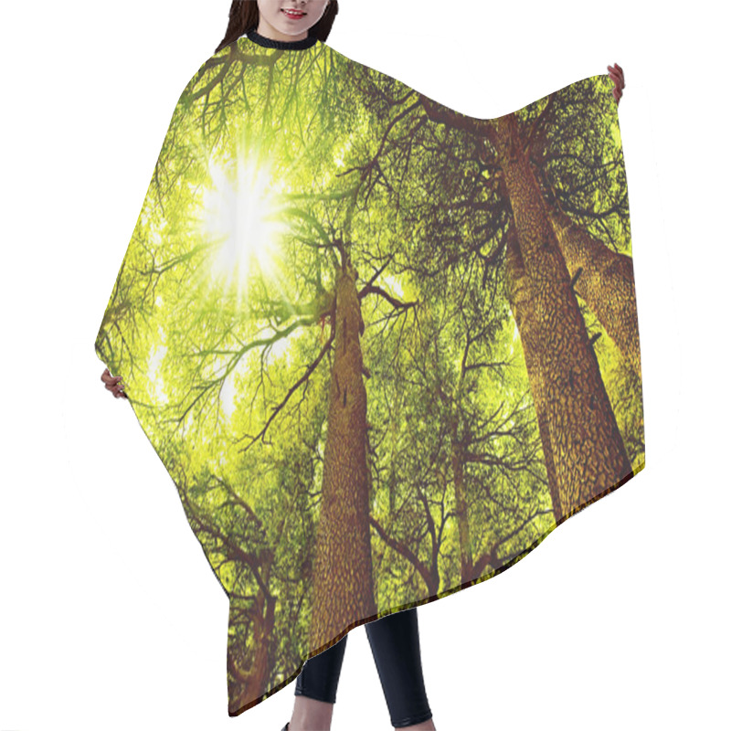 Personality  Sunny Cedar Forest Hair Cutting Cape