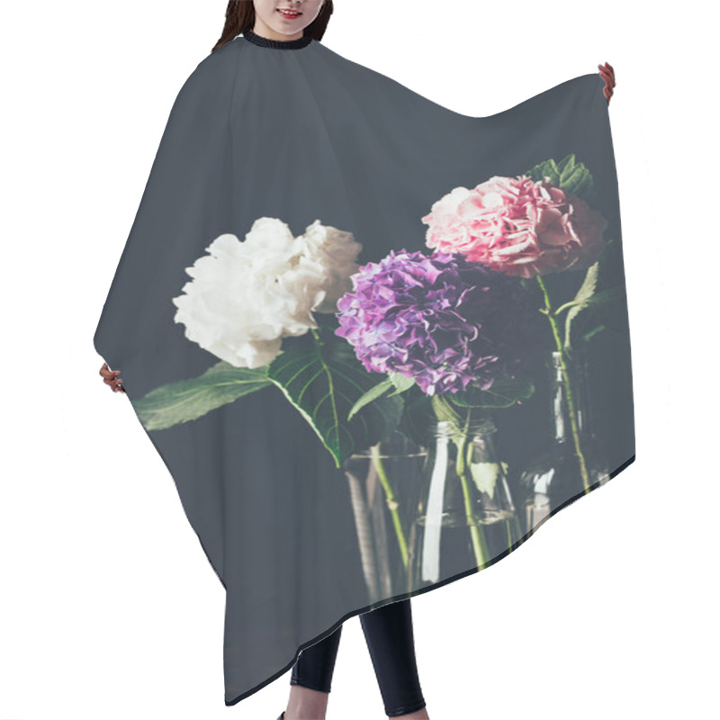 Personality  Pink, White And Purple Hortensia Bloom In Glass Vases, On Black Hair Cutting Cape