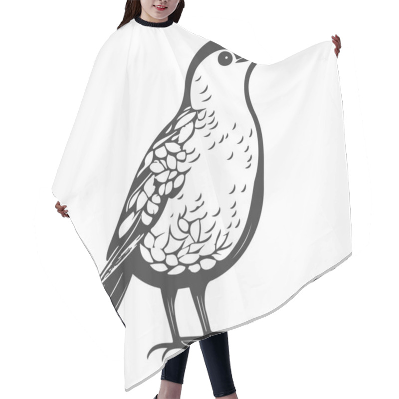 Personality  Doodle Birds Illustration Sketch Grey Hair Cutting Cape