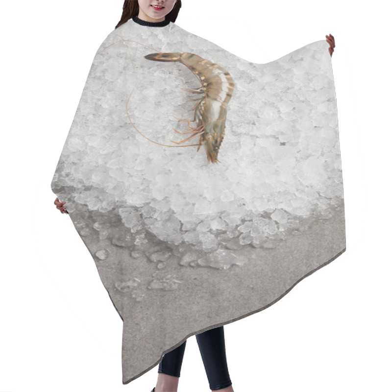 Personality  Top View Of Raw Prawn On Crushed Ice And On Concrete Surface Hair Cutting Cape