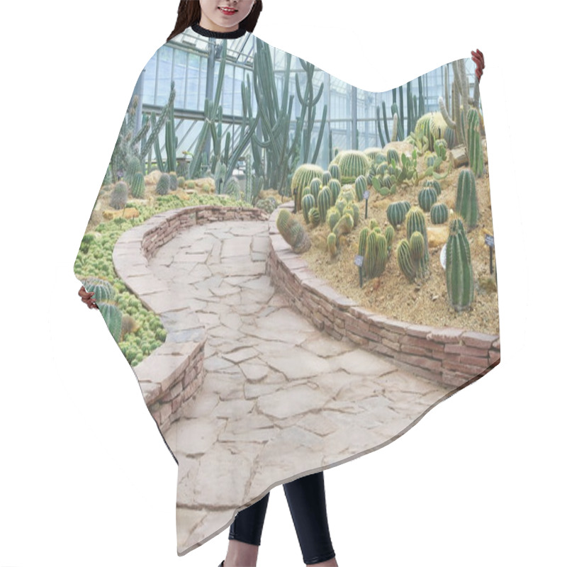 Personality  Walkway And Cactus Garden Hair Cutting Cape