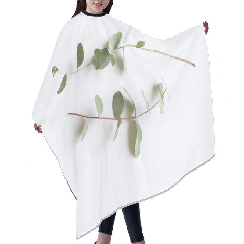 Personality  Frame, Corner Made Of Green Eucalyptus Leaves And Branches On White Background. Floral Composition. Feminine Styled Stock Flat Lay Image, Top View. Copy Space. Hair Cutting Cape