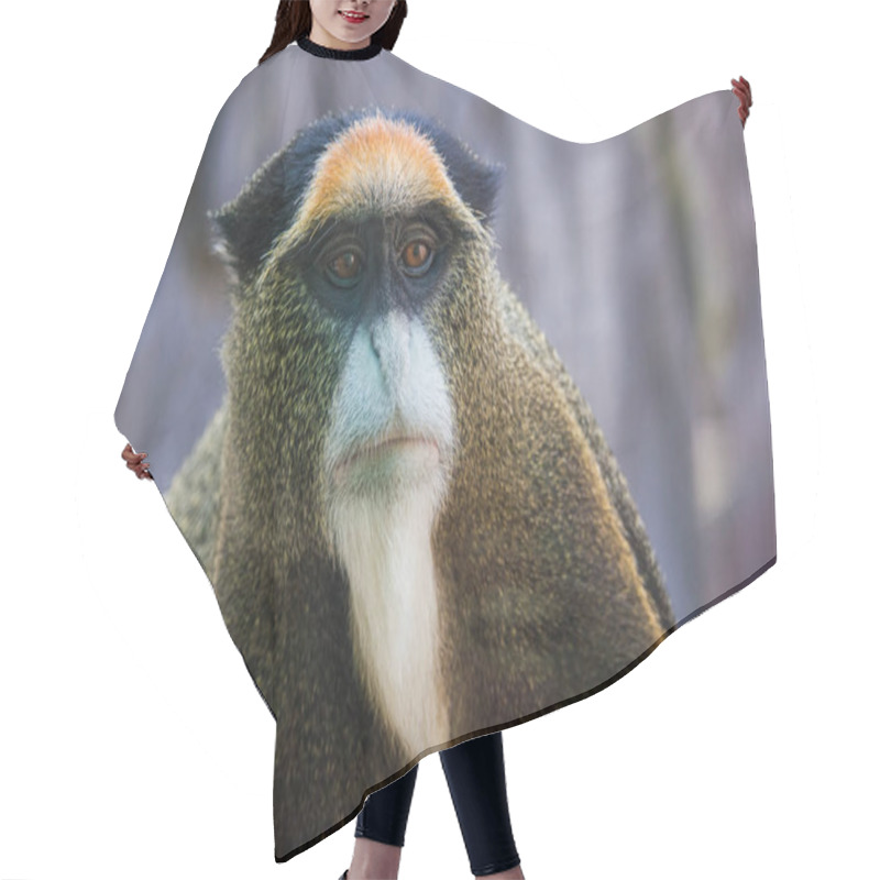 Personality  Monkey Hair Cutting Cape