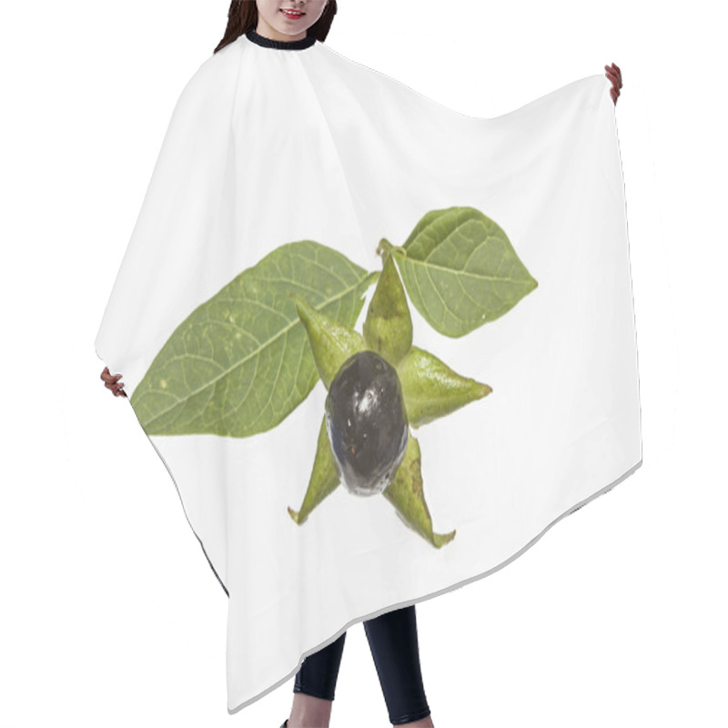 Personality  Atropa Belladonna Hair Cutting Cape