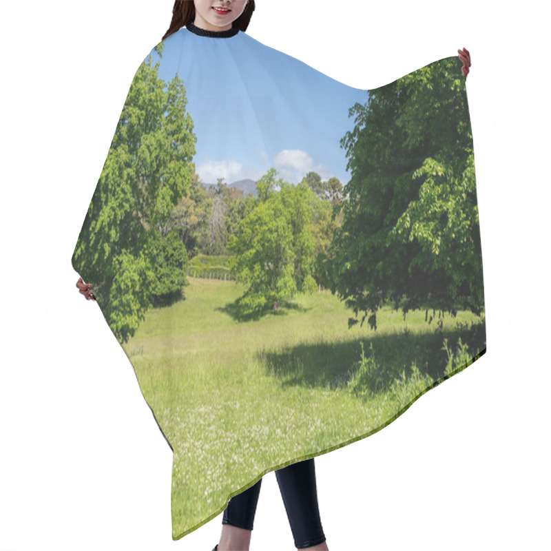 Personality  Trees In A Meadow On A Farm In A Country Estate On A Farm In Spring Hair Cutting Cape