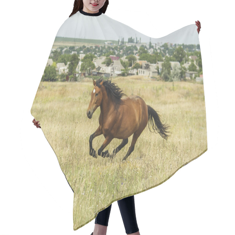 Personality  Red Horse With A Black Mane And Tail Running In A Field On The Green Grass Hair Cutting Cape