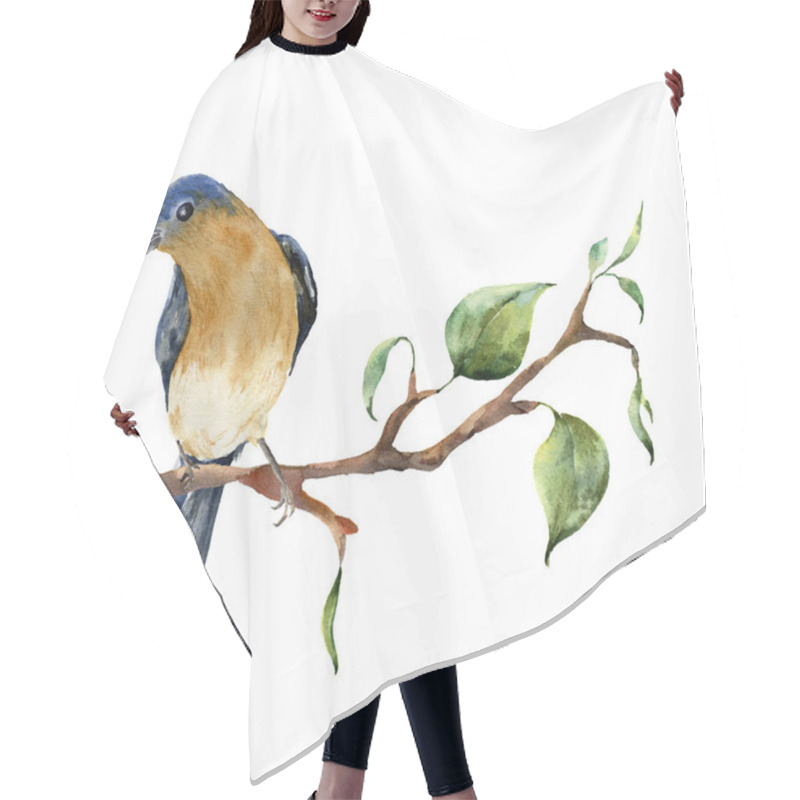 Personality  Watercolor Bird Sitting On Tree Branch With Leaves. Hand Painted Spring Illustration With Robin Redbreast Isolated On White Background. Nature Print For Design. Hair Cutting Cape