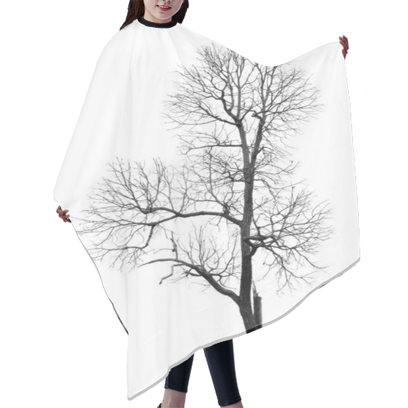 Personality  Dead Tree Without Leaves Hair Cutting Cape