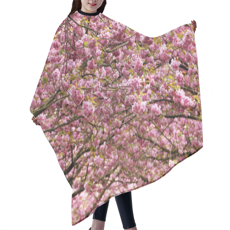 Personality  Cherry Blossom Hair Cutting Cape