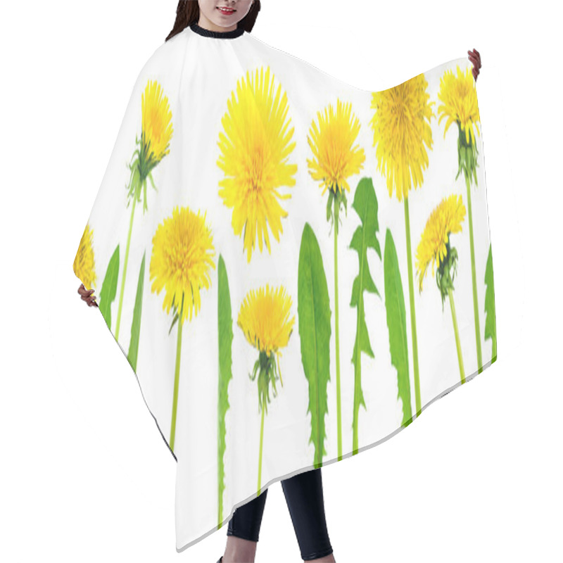 Personality  Dandelions (taraxacum Officinale) Hair Cutting Cape