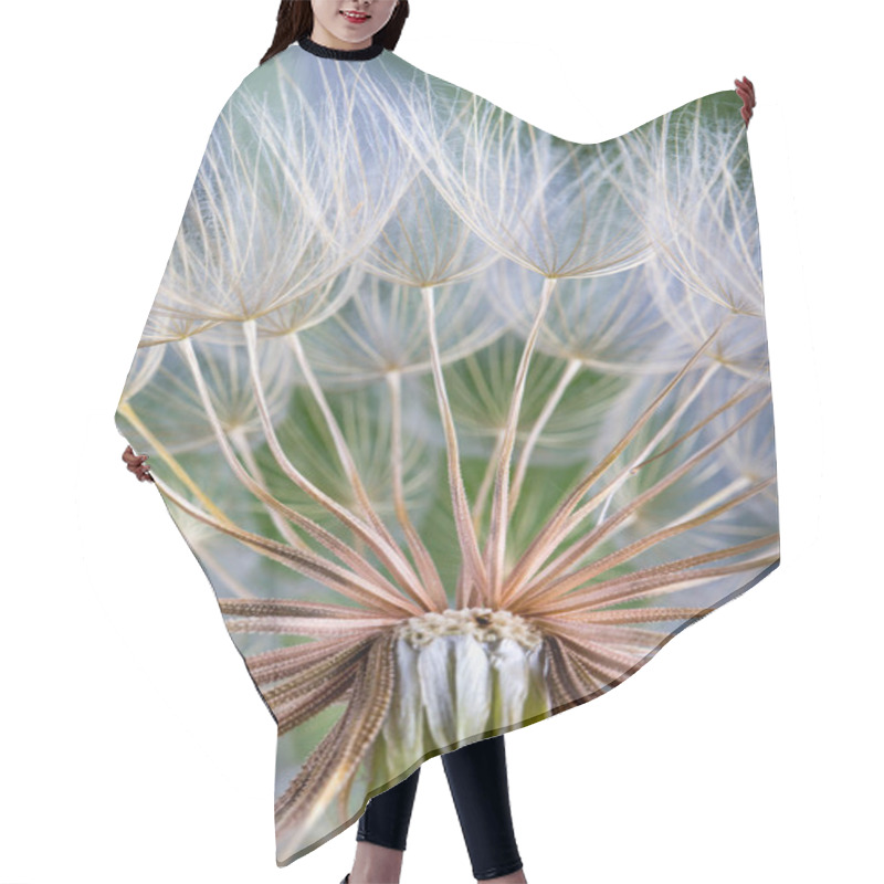 Personality   Macro Photo Of Dandelion Seeds With Water Drops Hair Cutting Cape