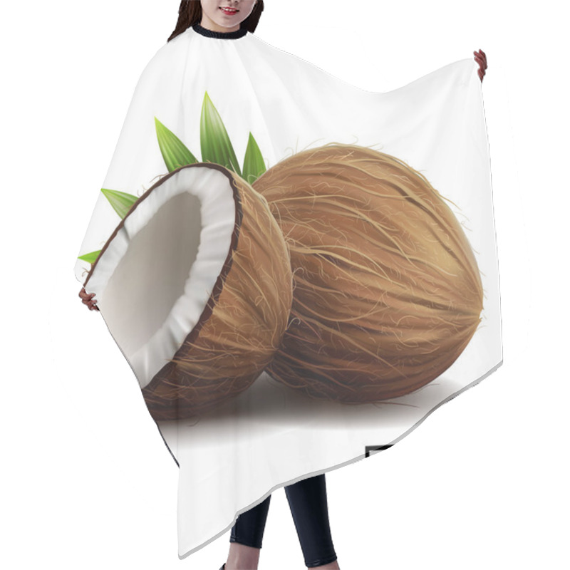 Personality  3D Realistic Isolated Vector Set Of Whole Coconut, Coconut Halves And Palm Leaves Hair Cutting Cape