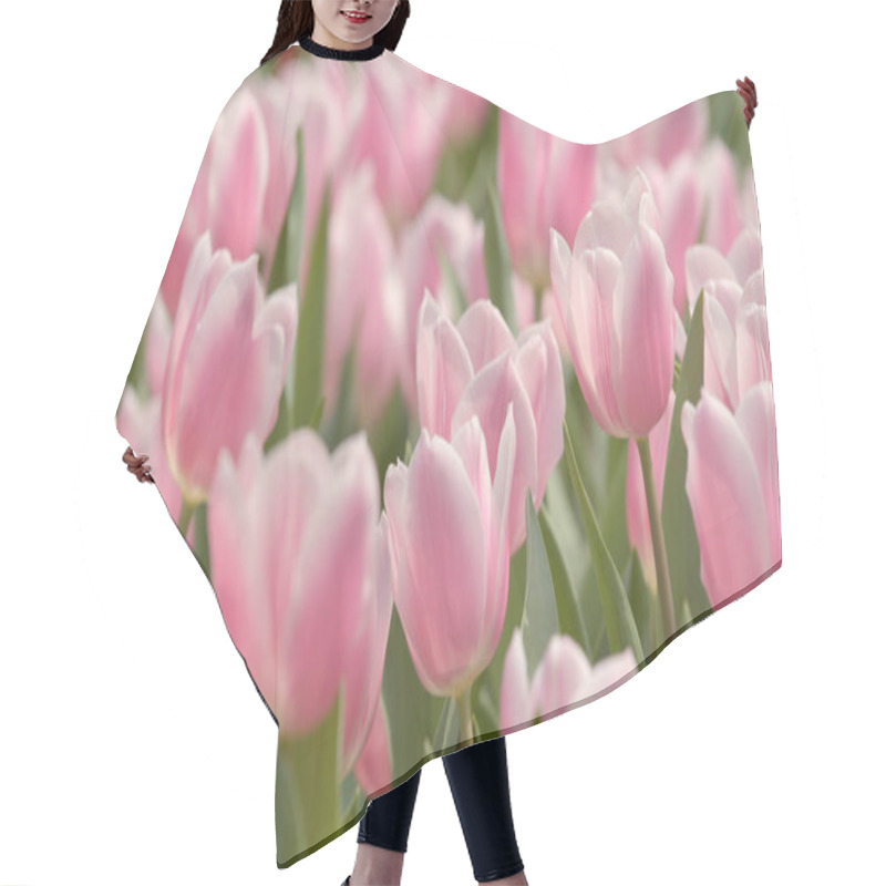 Personality  Beautiful Pink Tulip Garden  Hair Cutting Cape