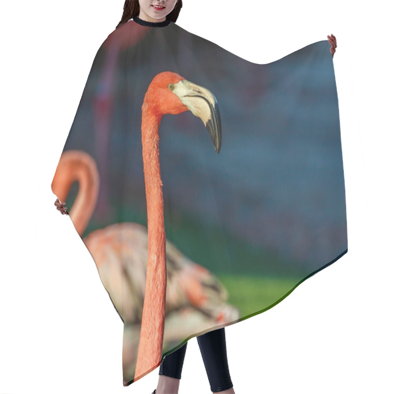 Personality  Flamboyance Of Flamingos Hair Cutting Cape