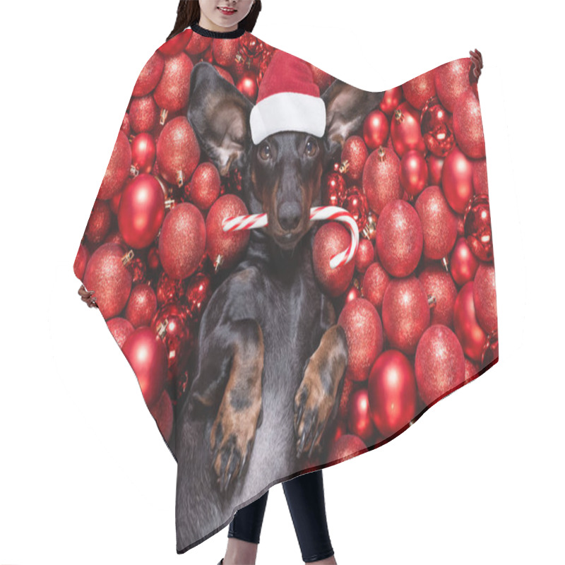 Personality  Christmas Santa Claus Dog And Xmas Balls Or Baubles As Backgroun Hair Cutting Cape