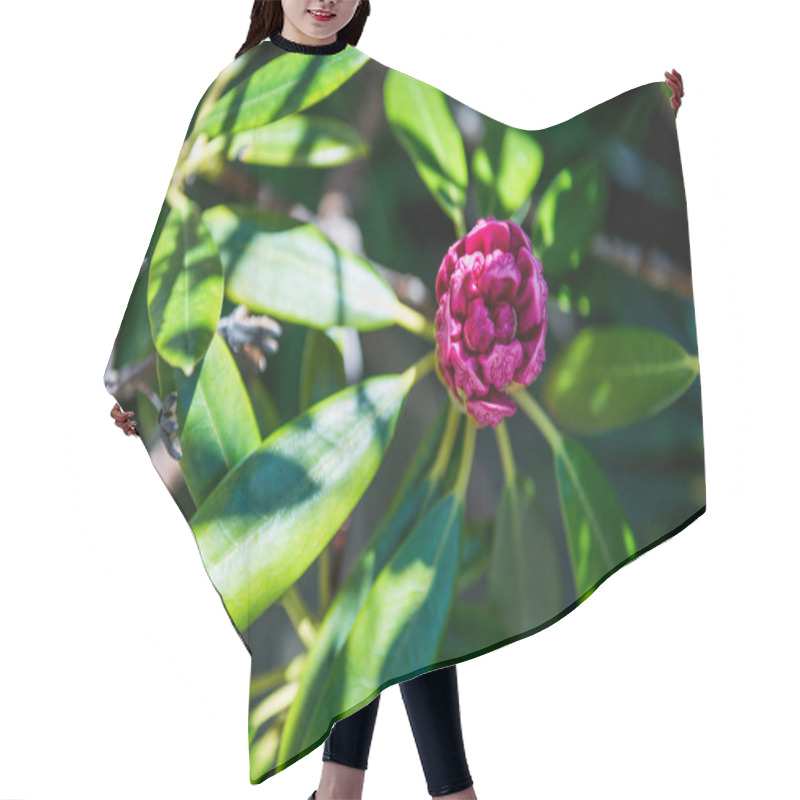 Personality  Laurel Hair Cutting Cape