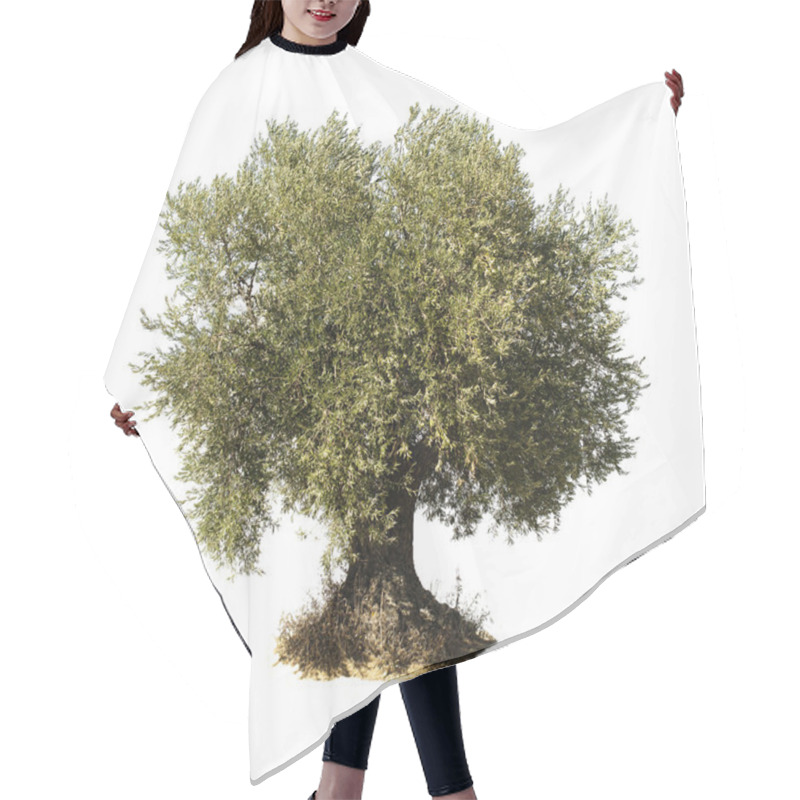 Personality  Olive Tree White Isolated Hair Cutting Cape