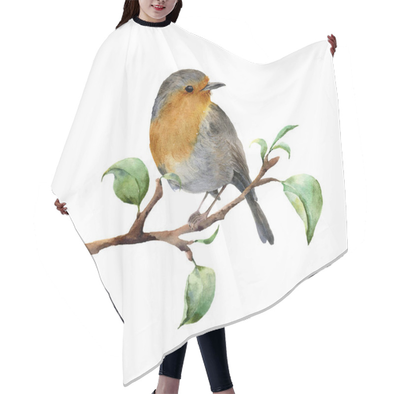 Personality  Watercolor Robin Sitting On Tree Branch With Leaves. Hand Painted Spring Illustration With Bird Isolated On White Background. Nature Print For Design. Hair Cutting Cape