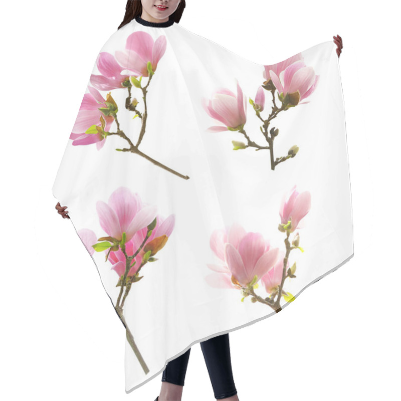 Personality  Set Of Beautiful Blooming Magnolia Flowers On White Background Hair Cutting Cape