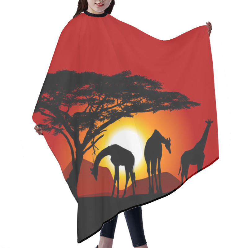 Personality  Silhouettes Of Giraffes On African Sunset - Savanna Hair Cutting Cape