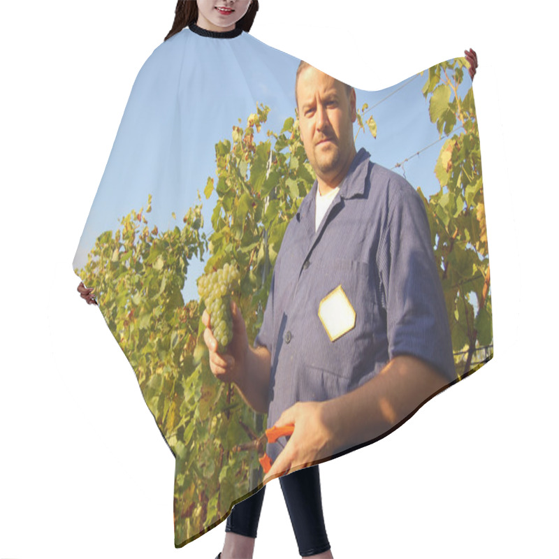 Personality  Harvesting Grape Hair Cutting Cape