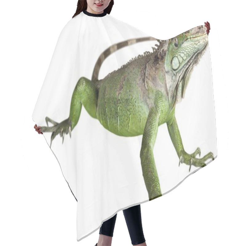 Personality  Big Green Iguana Reptile Hair Cutting Cape