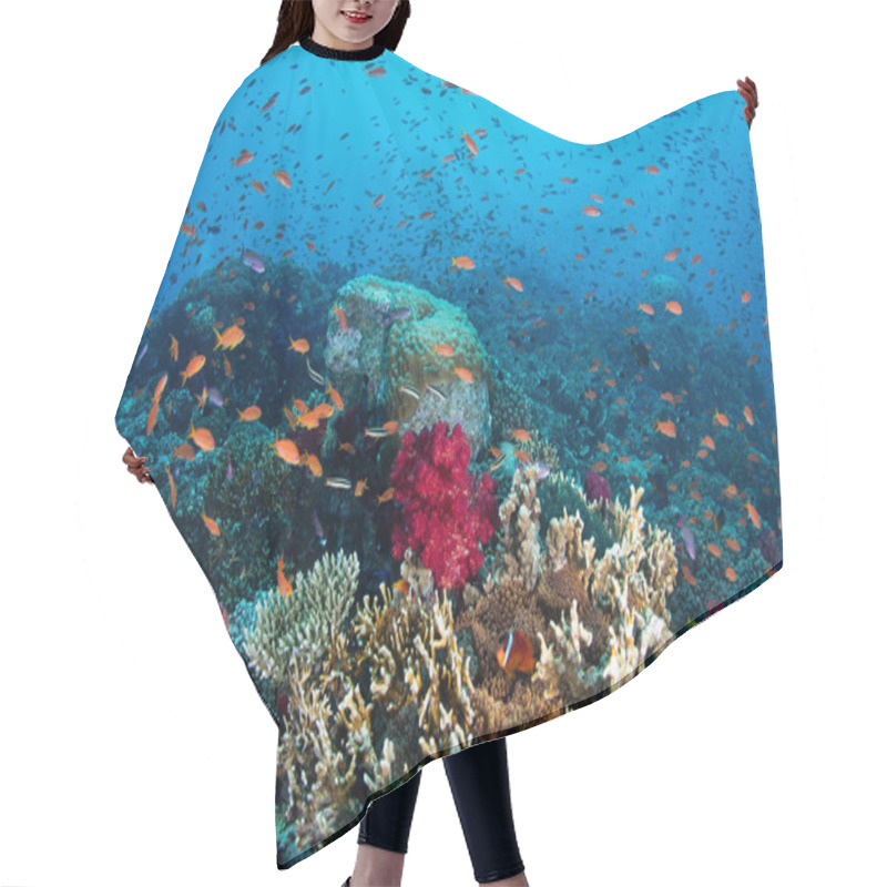 Personality  Healthy Coral Reef In South Pacific Hair Cutting Cape