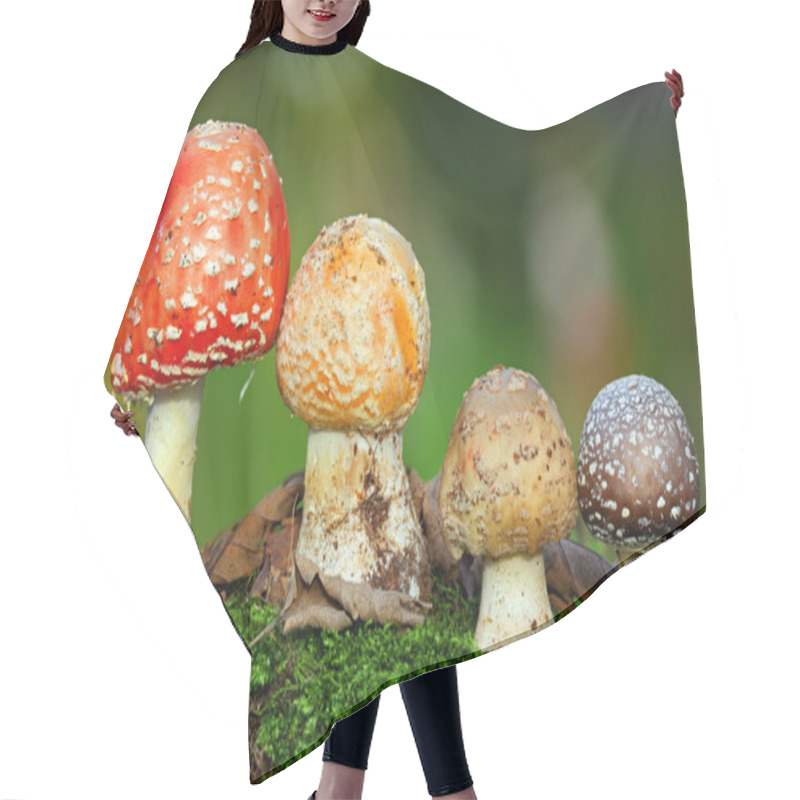 Personality  Nice Four Toadstools In Moss Hair Cutting Cape