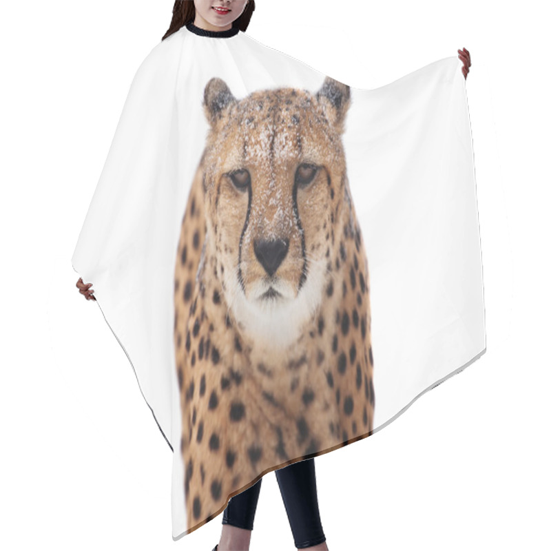 Personality  Cheetah Hair Cutting Cape